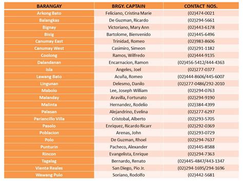 valenzuela district 1 barangays|List of barangays in Valenzuela .